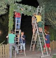 Binden am Donnerstag 103